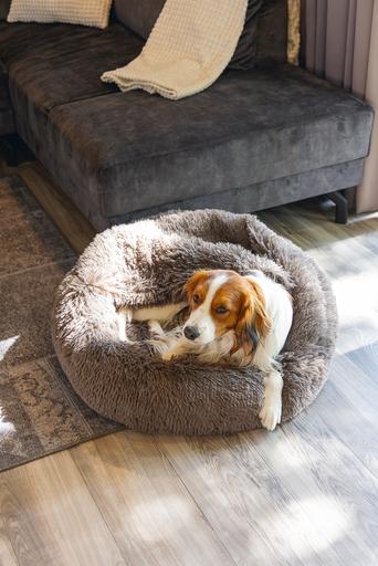 Image du produit Beeztees Hundebett Yala (Chien)