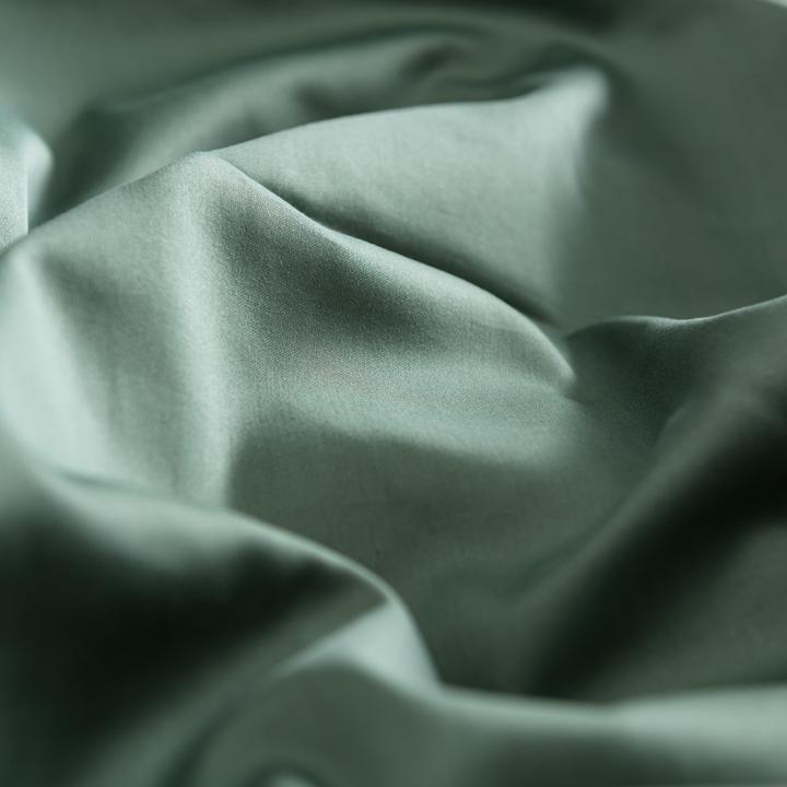 Actual product image Johann Jakob Sora (Pillowcase, 50 x 70 cm)