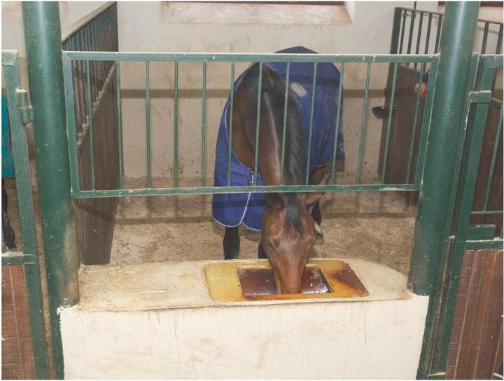 Produktbild Kerbl IPCam 20 (1280 x 720 Pixels)