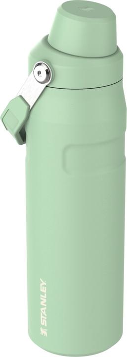 Immagine prodotto Stanley 1913 IceFlow Fast Flow Flasche (0.70 l)