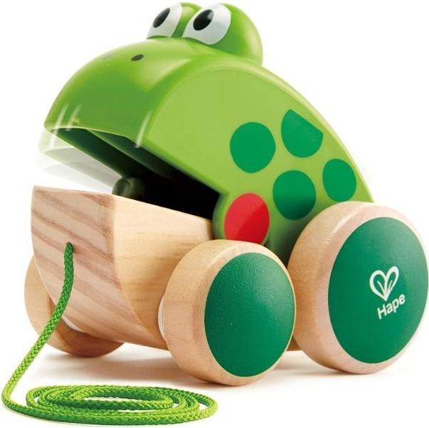 Actual product image Hape Frog