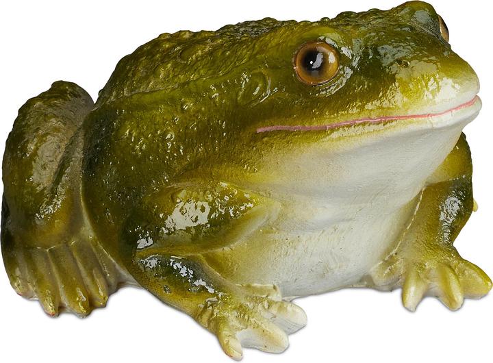 Image du produit Relaxdays Frosch
