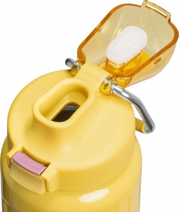 Immagine prodotto Stanley 1913 Wellspring Flasche (0.70 l)