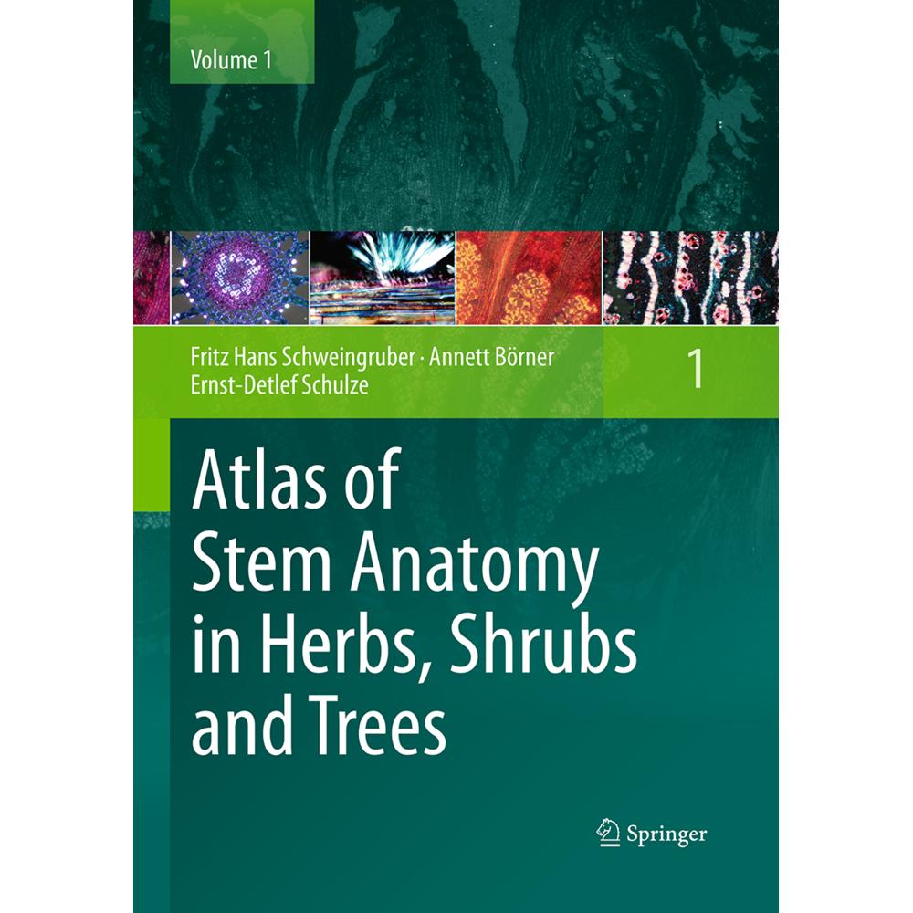 Atlas of Stem Anatomy in Herbs, Shrubs and Trees, Fachbücher von Annett Börner, Fritz Hans Schweingruber, Ernst-Detlef S...