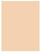 Produktbild Shiseido Synchro Skin Radiant Lifting Foundation ( 110 Alabster ) (140 Porcelain)
