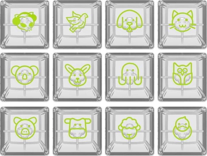 Actual product image Akko ASA Clear Printed Keycap