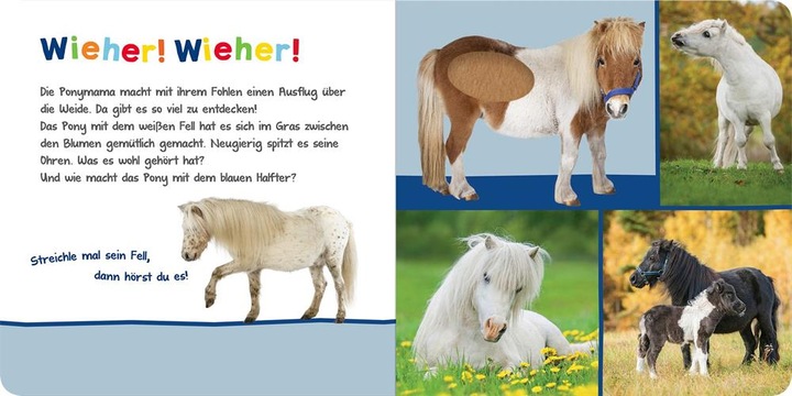 Actual product image Listen in, who can that be? - Cuddly animals (German)