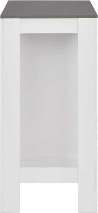 Actual product image vidaXL Pasha (110 x 50 x 103 cm)