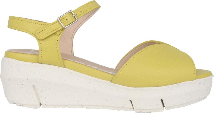 Actual product image Wonders D-8272 (39)