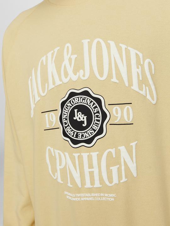 Actual product image Jack & Jones Printed sweatshirt with round neck Sweatshirt with round neck (S)