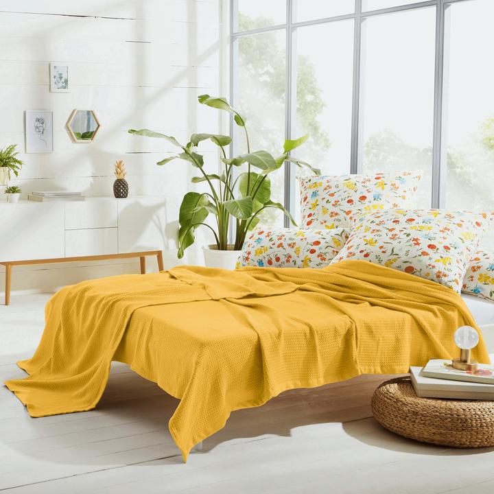 Image du produit Erwin Müller Sommerdecke (220 x 240 cm)