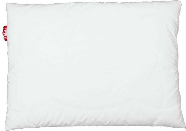 Produktbild Zizzz Bio Entendaunenkissen (65 x 65 cm)