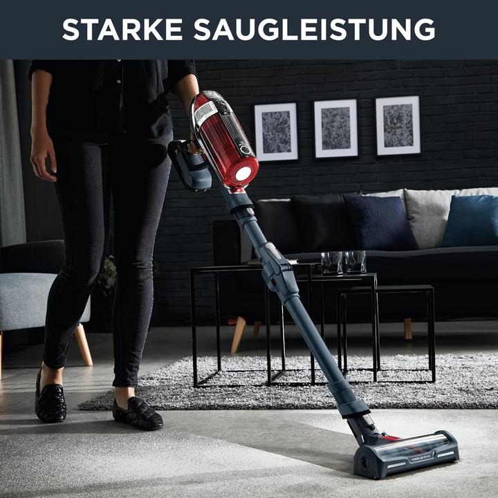 Actual product image Rowenta X-Force 11.60 Animal Care