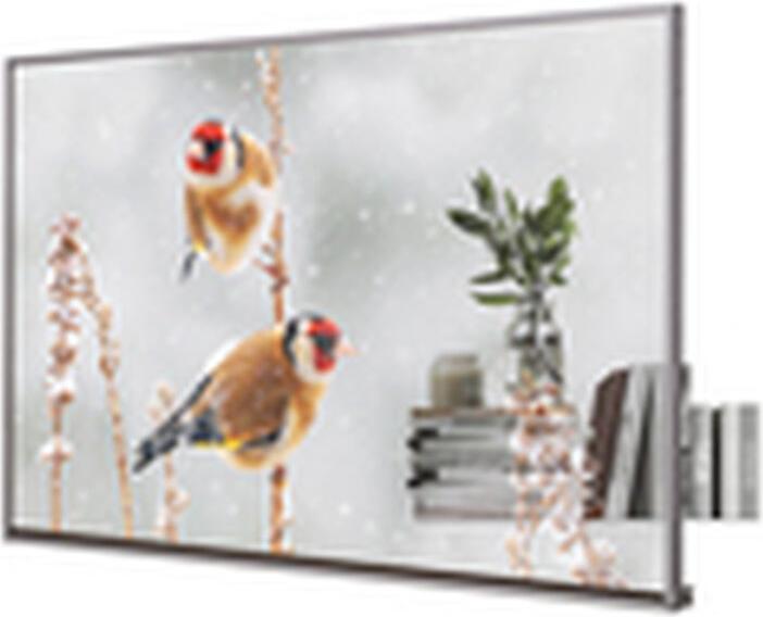 Image du produit LG 55EW5P-M (1920 x 1080 pixels, 55")