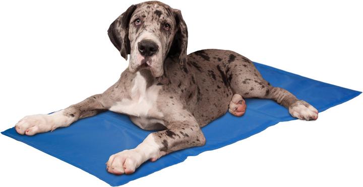 Produktbild Karlie Kühlmatte Fresk (Hund)