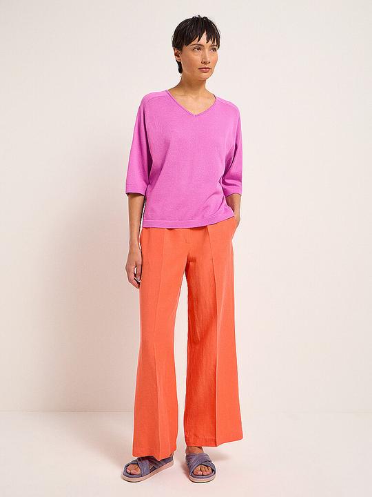 Image du produit Lanius 13863 (36)