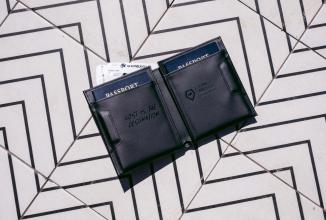 Actual product image Wandrd Travel Wallet