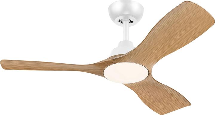Philips Olas