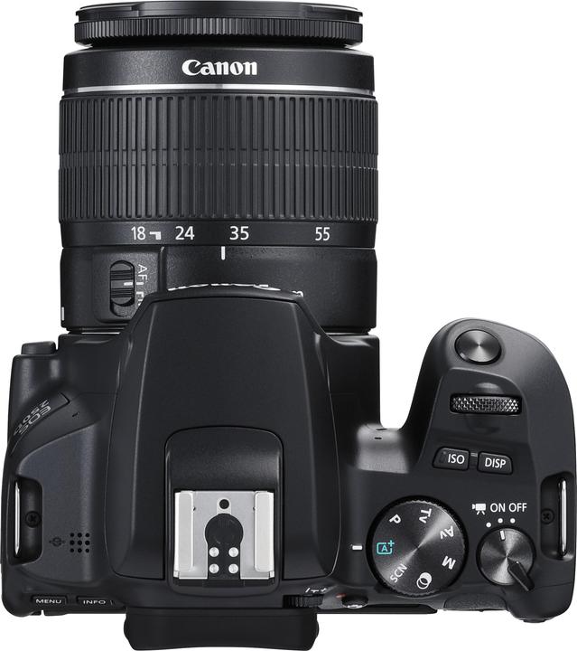 Actual product image Canon EOS 250D (18 - 55 mm, 24.10 Mpx, APS-C / DX)