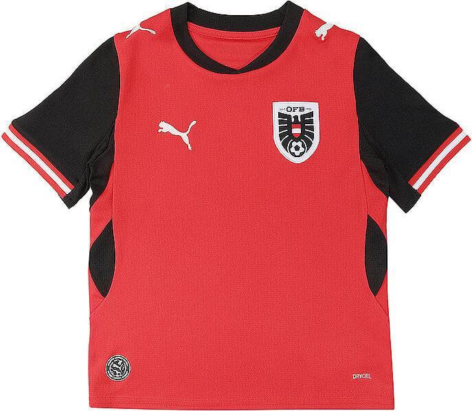 Actual product image Puma ÖFB Home Jersey Replica Jr (140)