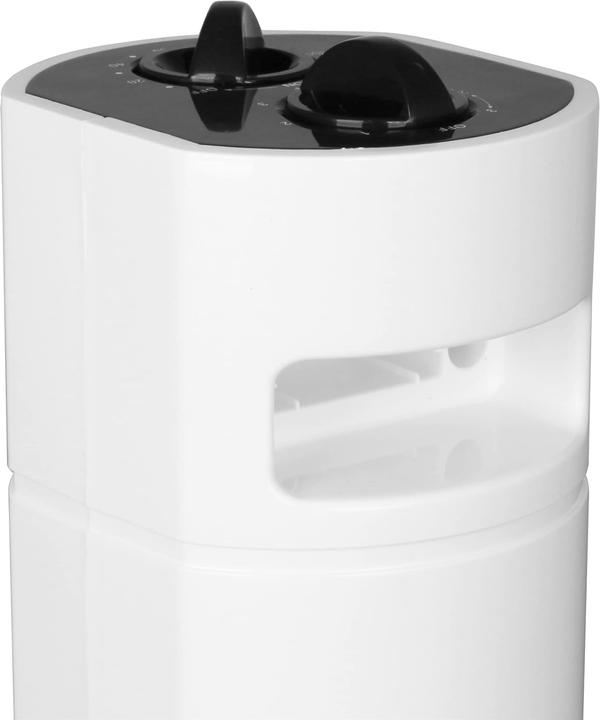 Actual product image Emerio Tower fan