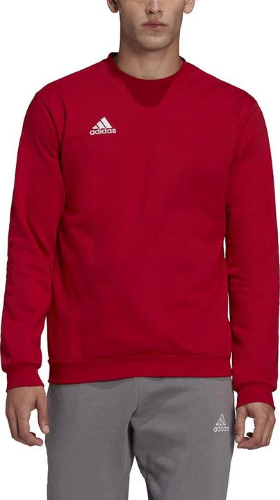 Actual product image adidas Entrada 22 sweatshirt men (M)