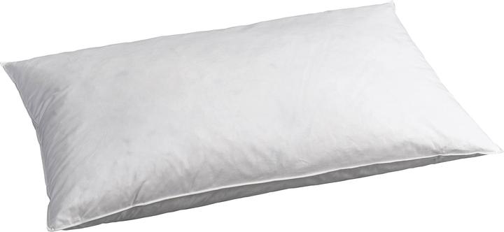 Immagine prodotto Feelings by billerbeck Jasper (65 x 100 cm)