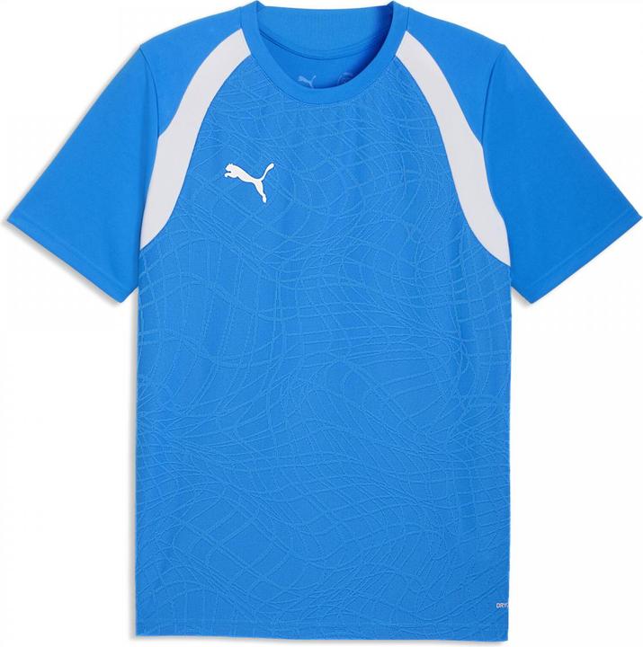 Produktbild Puma teamFINAL26 Training Jersey (L)