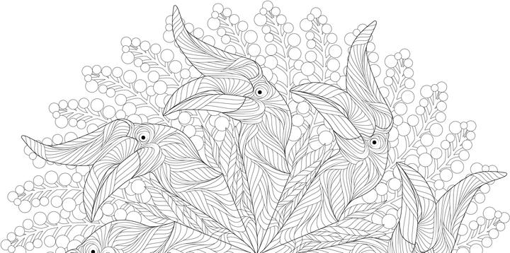 Actual product image Tier-Mandalas