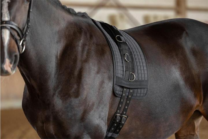 Actual product image Kerbl Lunging harness