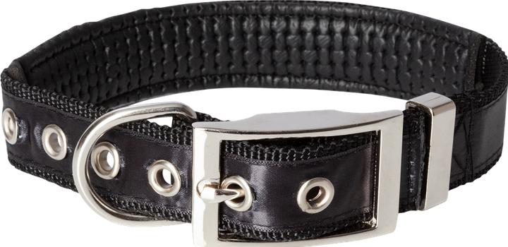 Actual product image Trade Con Borussia M'Gladbach Hundehalsband klein 30-45cm (Dog)