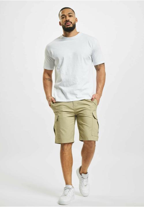 Actual product image Dickies Millerville Shorts (34)