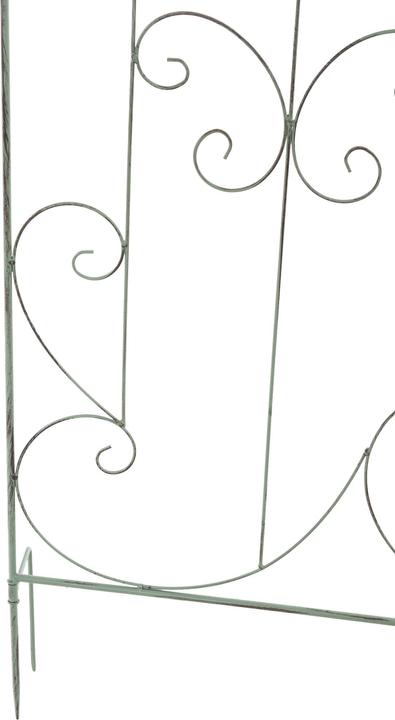 Immagine prodotto CLP Mandevilla (1 cm, 99 cm)