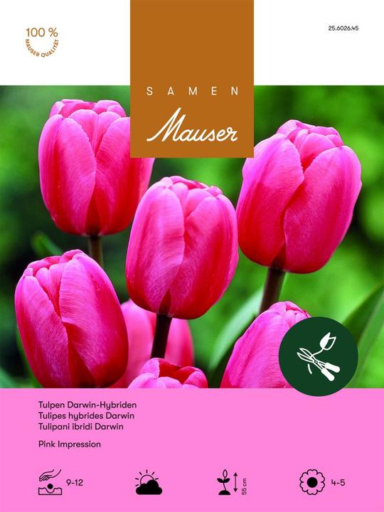 Produktbild Samen Mauser Tulpe Pink Impression Aktion (Blumenzwiebeln)