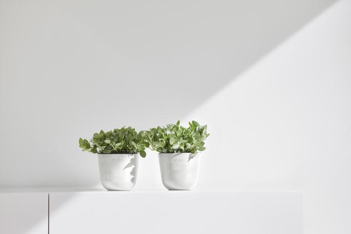 Immagine prodotto Ecopots Oslo Mini (16 cm)