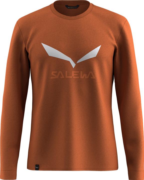 Image du produit Salewa Solidlogo Dry L/S Tee (46, S)