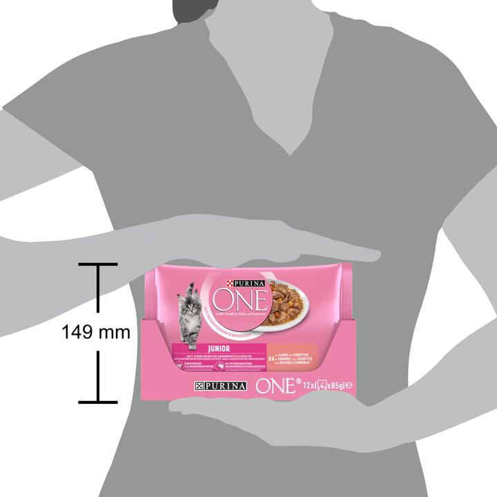 Actual product image Purina ONE Junior (Junior, 4 pcs., 85 g)