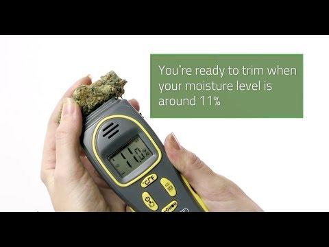 Image du produit Twister T4