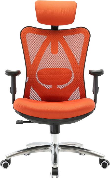 Actual product image Sihoo Office chair with lumbar support
