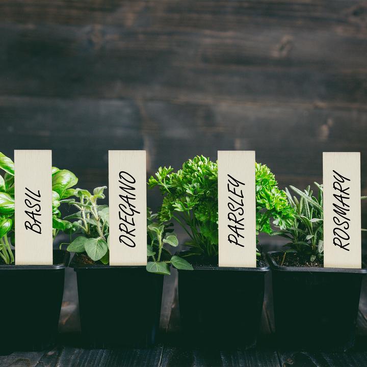 Actual product image Relaxdays Plant Labels, Pack of 60 (0.20 cm, 2 cm)