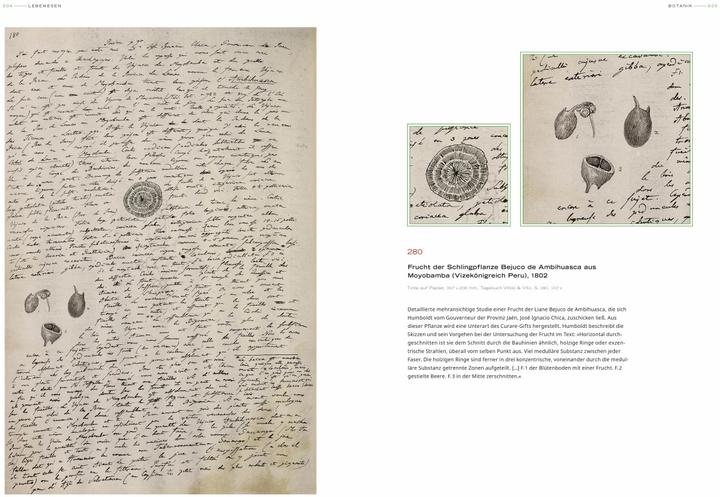 Produktbild Alexander von Humboldt - Bilder-Welten (Deutsch, Ottmar Ette, 2018)