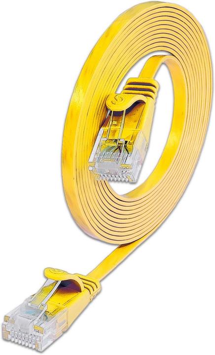 Actual product image Wirewin Network cable (U/UTP, CAT6, 0.15 m)