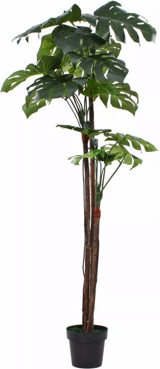 Produktbild vidaXL Nuri (170 cm)