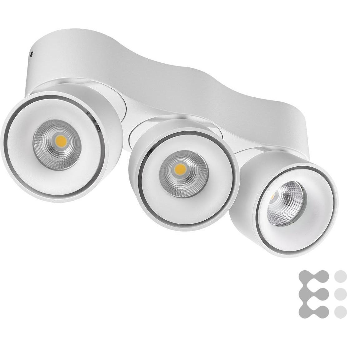 EVN, Fassadenbeleuchtung, LED-Wand u.Deckenleuchte (750 lm, IP20)