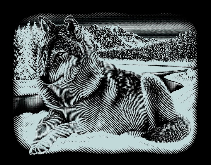 Actual product image Mammut 137011 - Scratching picture, motif wolf, silver, shiny, landscape, complete set with scratching