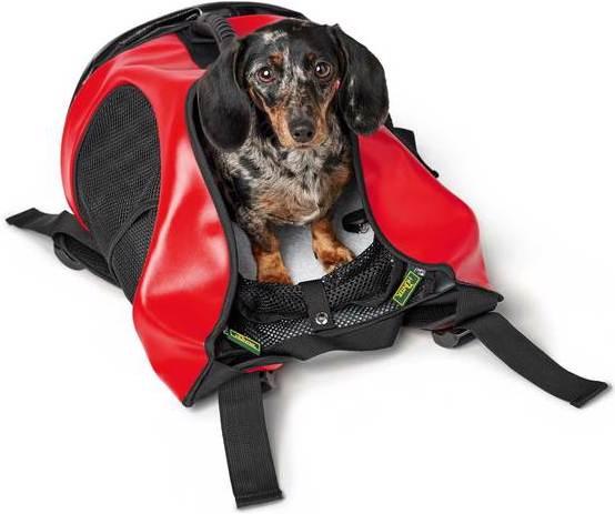 Produktbild Hunter Jäger Taylor (Hund, Faltbar)