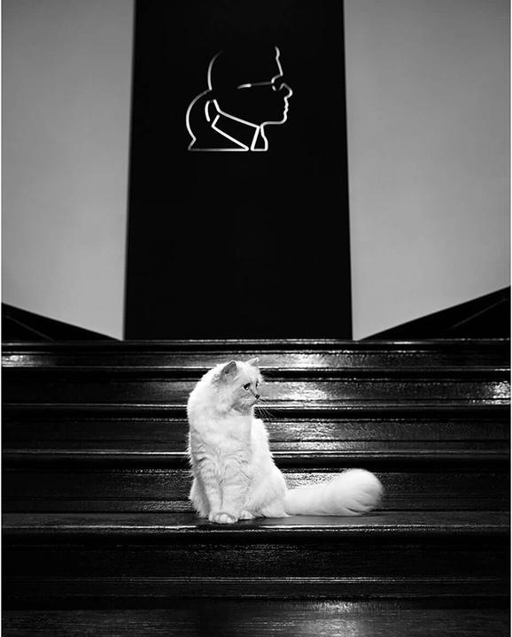 Produktbild L'Oréal Professionnel Steampod 3.0 Karl Lagerfeld + Etui