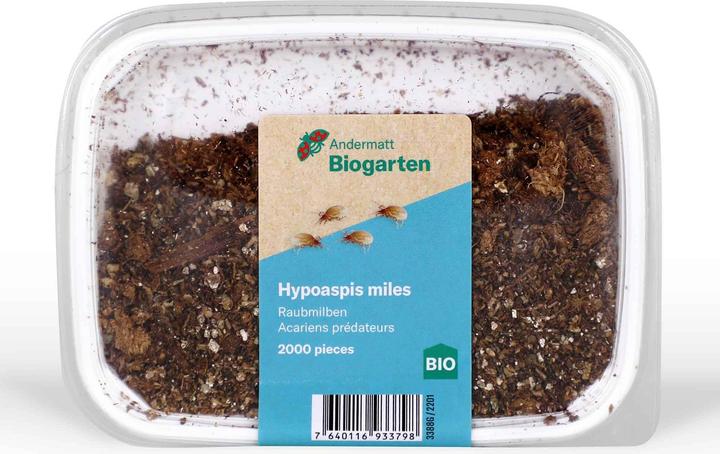 Andermatt Biogarten Raubmilben gegen Trauermücken