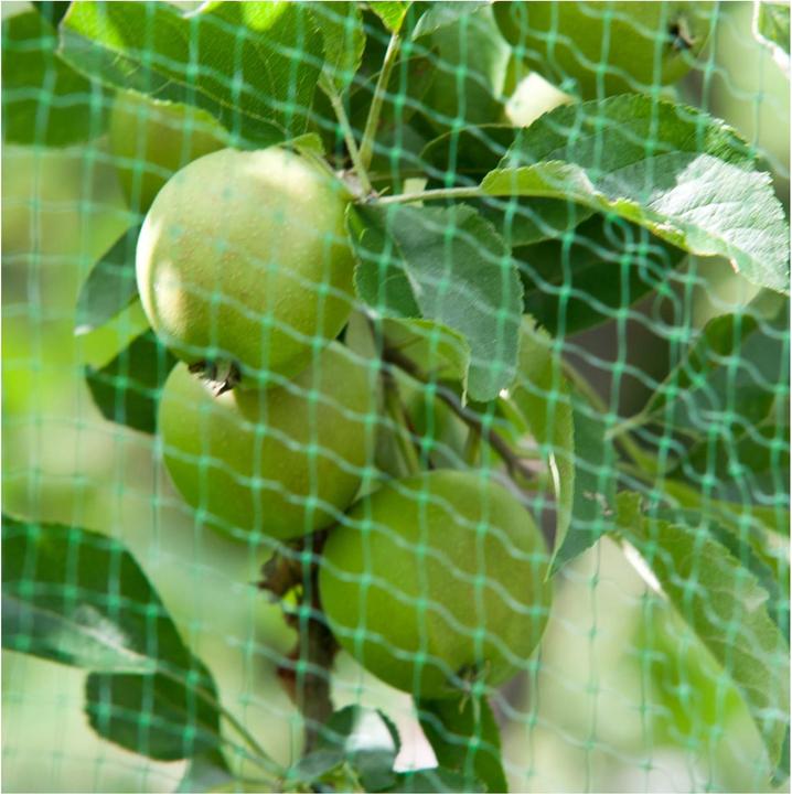 Produktbild Windhager Vogelschutznetz "Orto" 5x4m