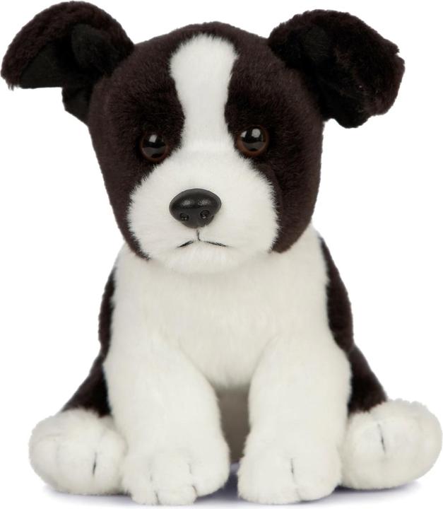 Immagine prodotto Living Nature Cucciolo di border collie (16 cm)